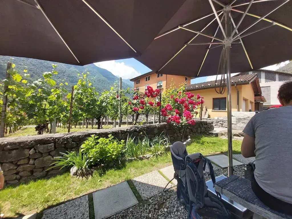 James Schuler_Osteria dal Gin_Maggia_review