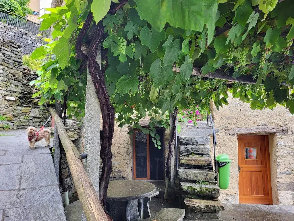 Monika Märki_Nuova Osteria (Fondazione) Brontallo_Brontallo_review