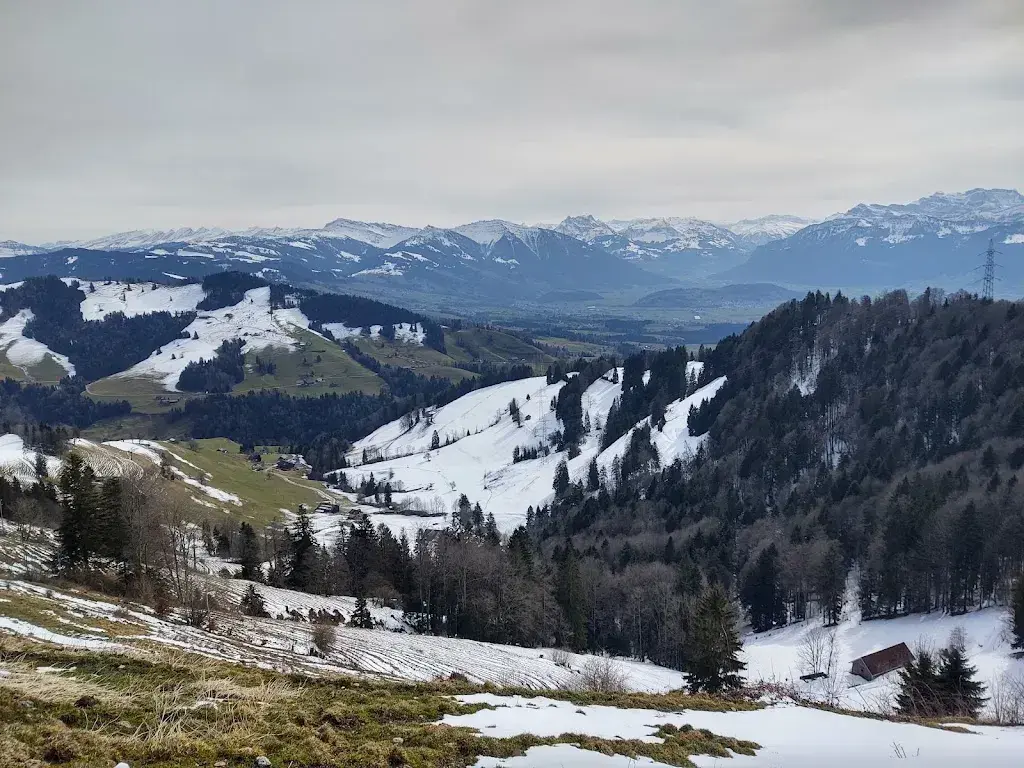 Mary Jo Spector_Farneralp_Wald_recensione