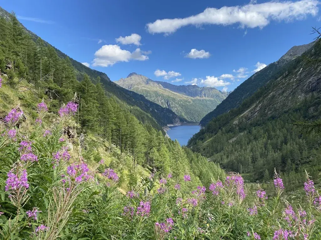 Esther Schmidt_Albergo Ristorante Pineta_Fusio_avis