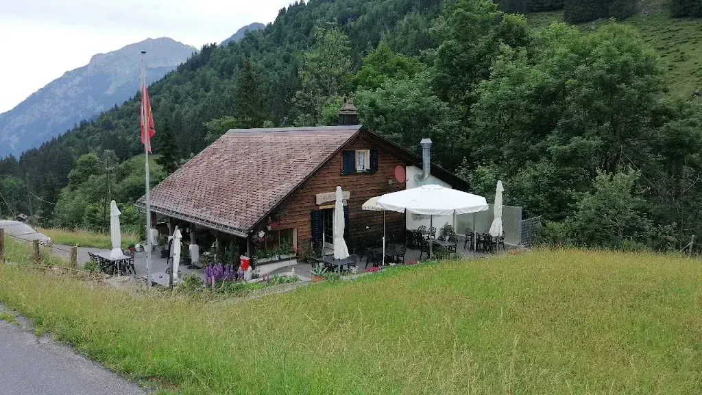 Peer HAUPT_Fryberg_Schwanden_reseña