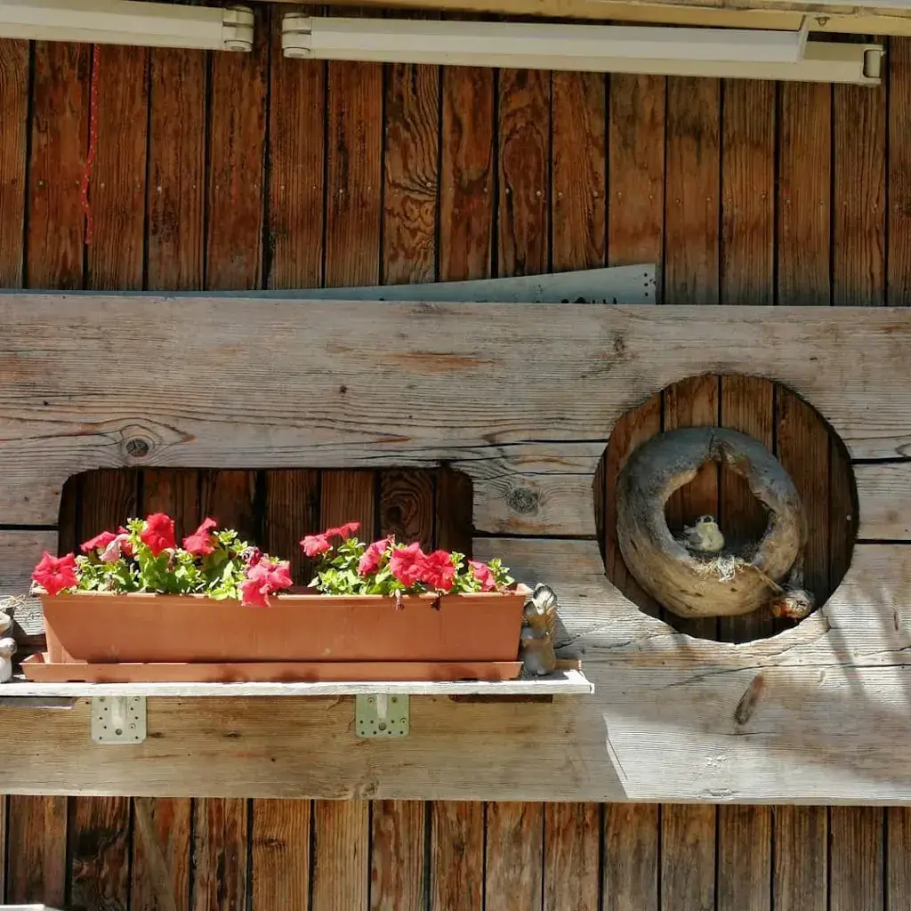 Menu_La Soldanelle_Plans-sur-Bex_image_9