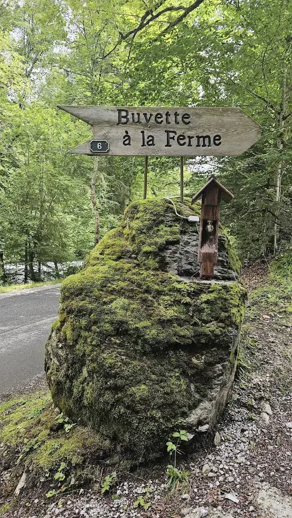 Patricia Gross_La Soldanelle_Plans-sur-Bex_review