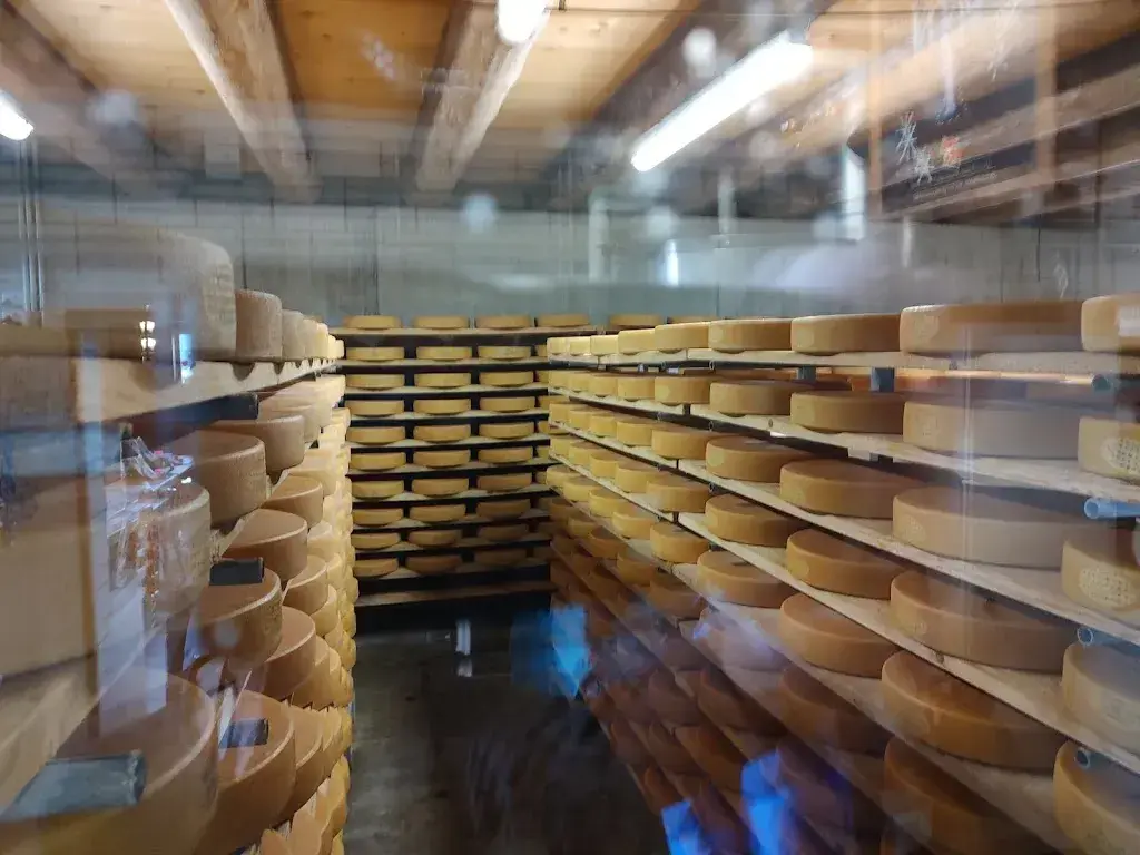 Thomas Temple_Site Alp_Zweisimmen_avis