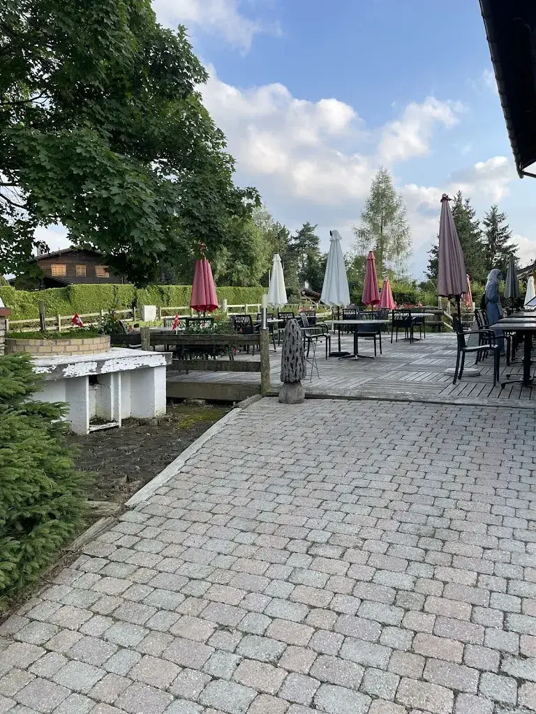 fawaz alabdali_Restaurant les ecovets_Ollon_review