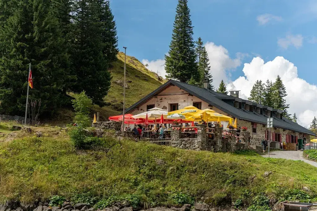 Wim Saelen_Lac Lioson_Mosses_review