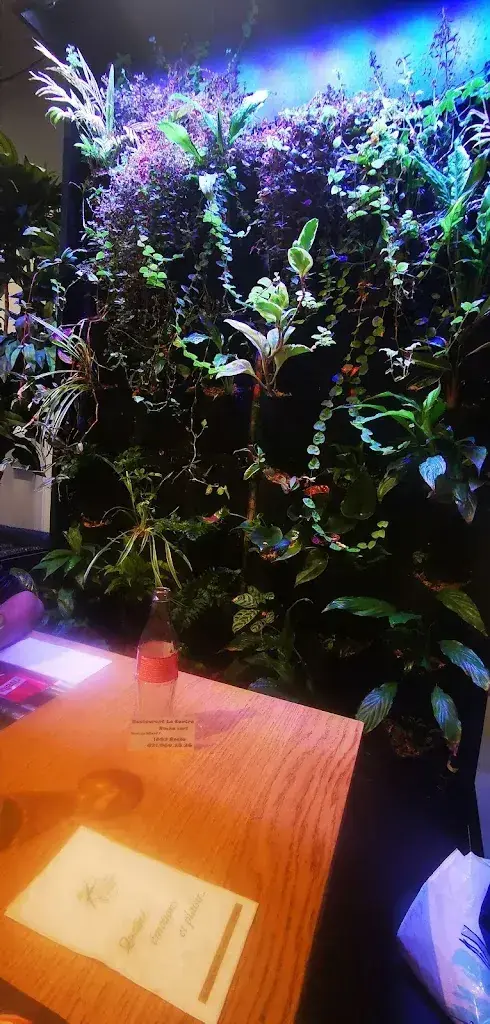 Philippe Motte_Le Centre Roche Sàrl_Roche_recensione