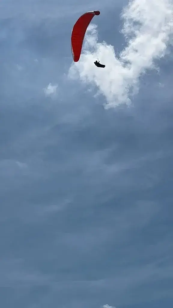 Tahani Almousa_Le Carnotzet Restaurant_Les Diablerets_review