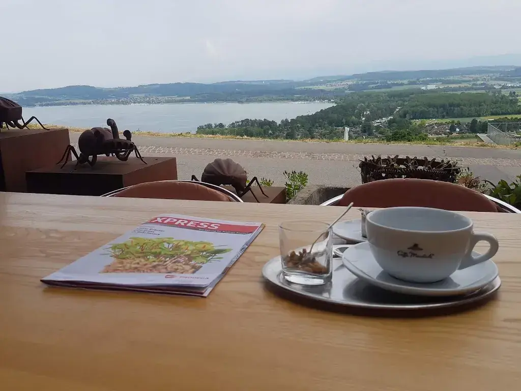 Menu_Belle5_Bellerive_image_6