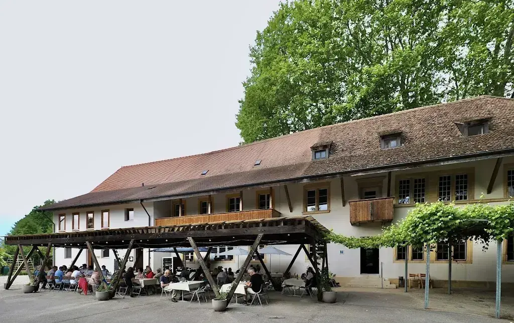 Sebastian Reiz_Field La Sauge_Cudrefin_avis