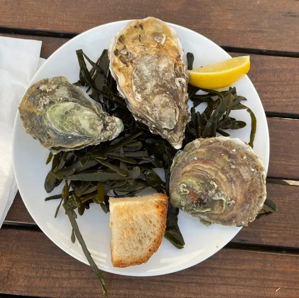 Markus Hämmerli_Restaurant les Trois Suisses_Salavaux_Bewertung