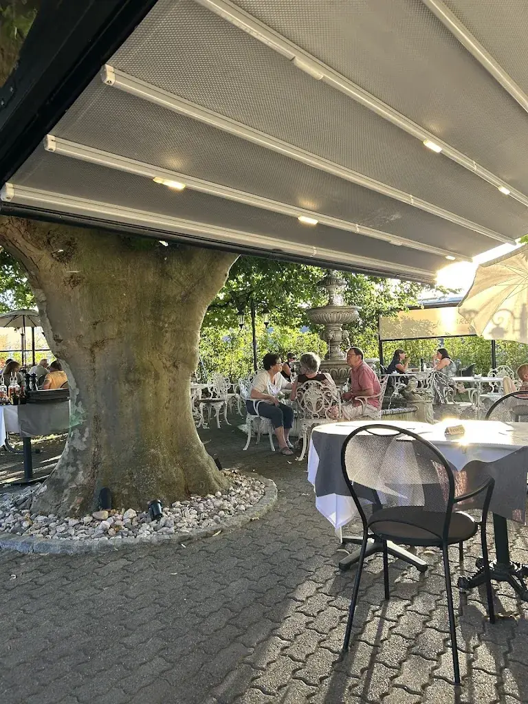 Alexandru Istrate_Restaurant Pizzeria il Giardino_Avenches_review