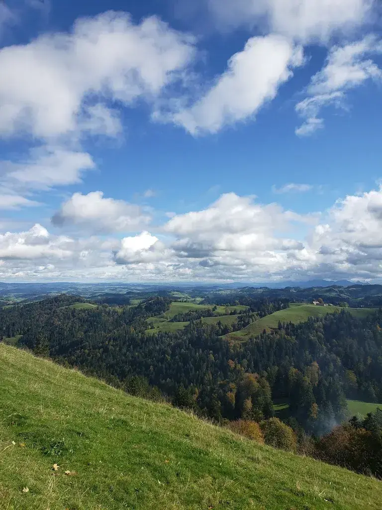 J. Alves_Ahorn-Alp_Eriswil_avis