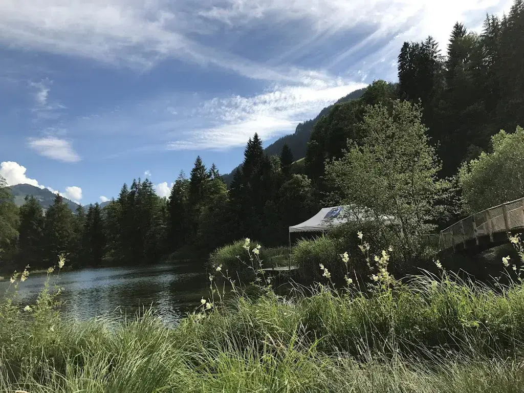 Amany Ghozlan_Forellensee Gstaad-Zweisimmen_Zweisimmen_avis