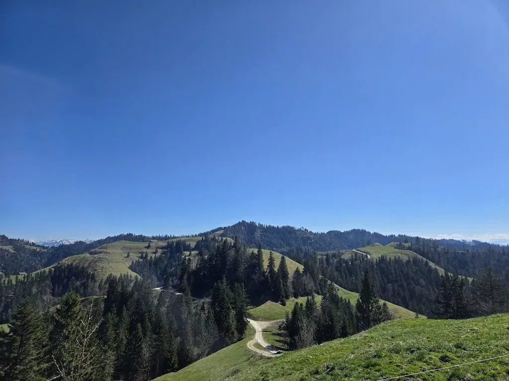 Céline Waldspurger_Hinterarnialp_Sumiswald_avis