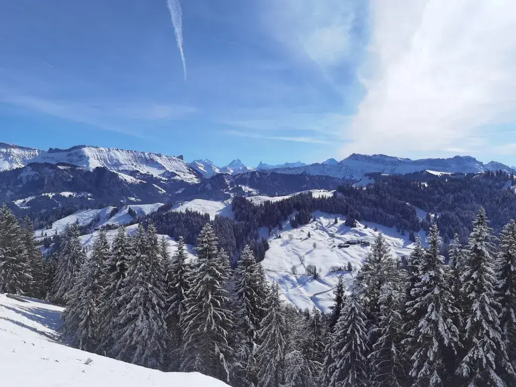 Thierry Defrance_Bergrestaurant Erika_Eggiwil_avis