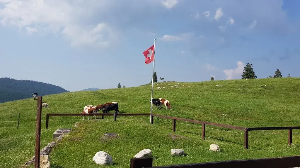 Pascal Mercier_Buvette de Châtel_L'Isle_review