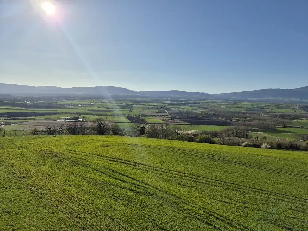 Maigo_Restoroute Bavois Nature_Bavois_review