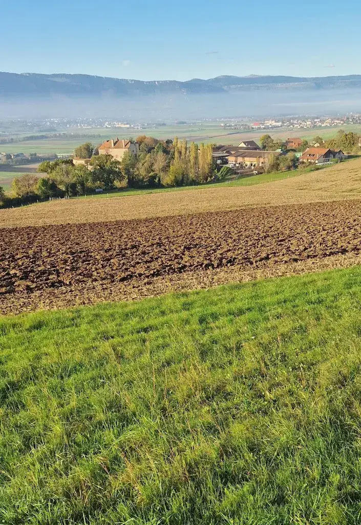 Mary Lewis_Restoroute Bavois Nature_Bavois_review