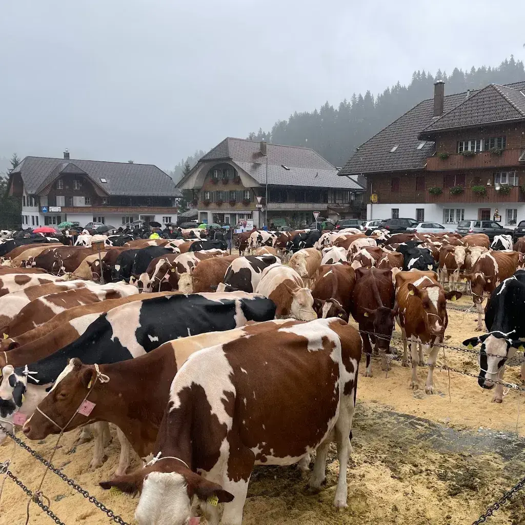 Roberta Muir_Moos Pintli_Röthenbach im Emmental_Bewertung