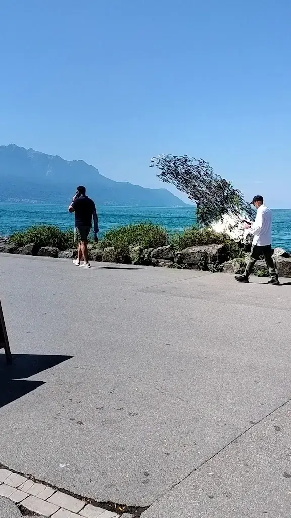 Les Voiles de La Rouvenaz (en été)_Montreux_menu_image_1