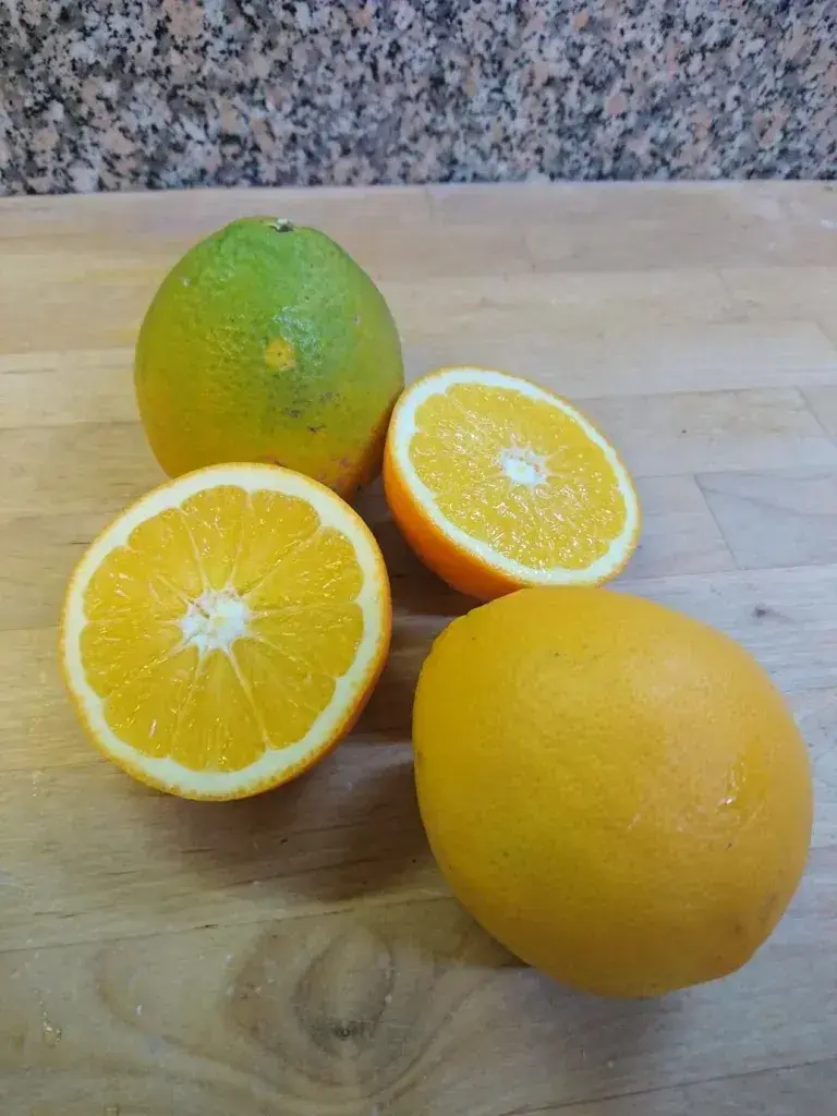 Menu_Pizza des Anges_Goumoens-la-Ville_image_6