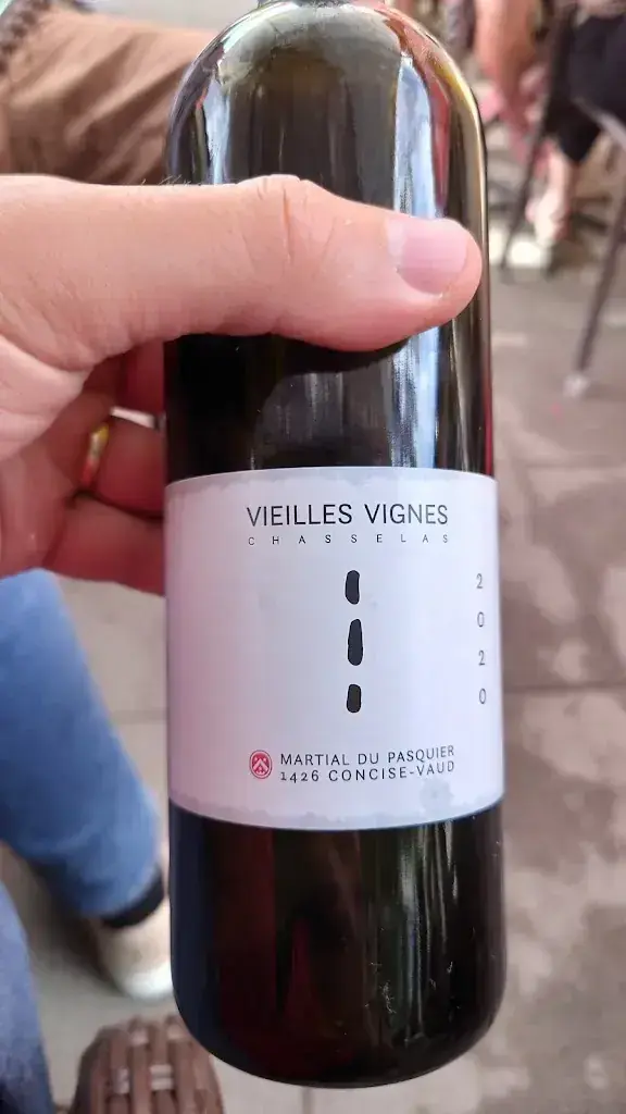 Moritz Vischer_Restaurant Le Pécos_Grandson_review