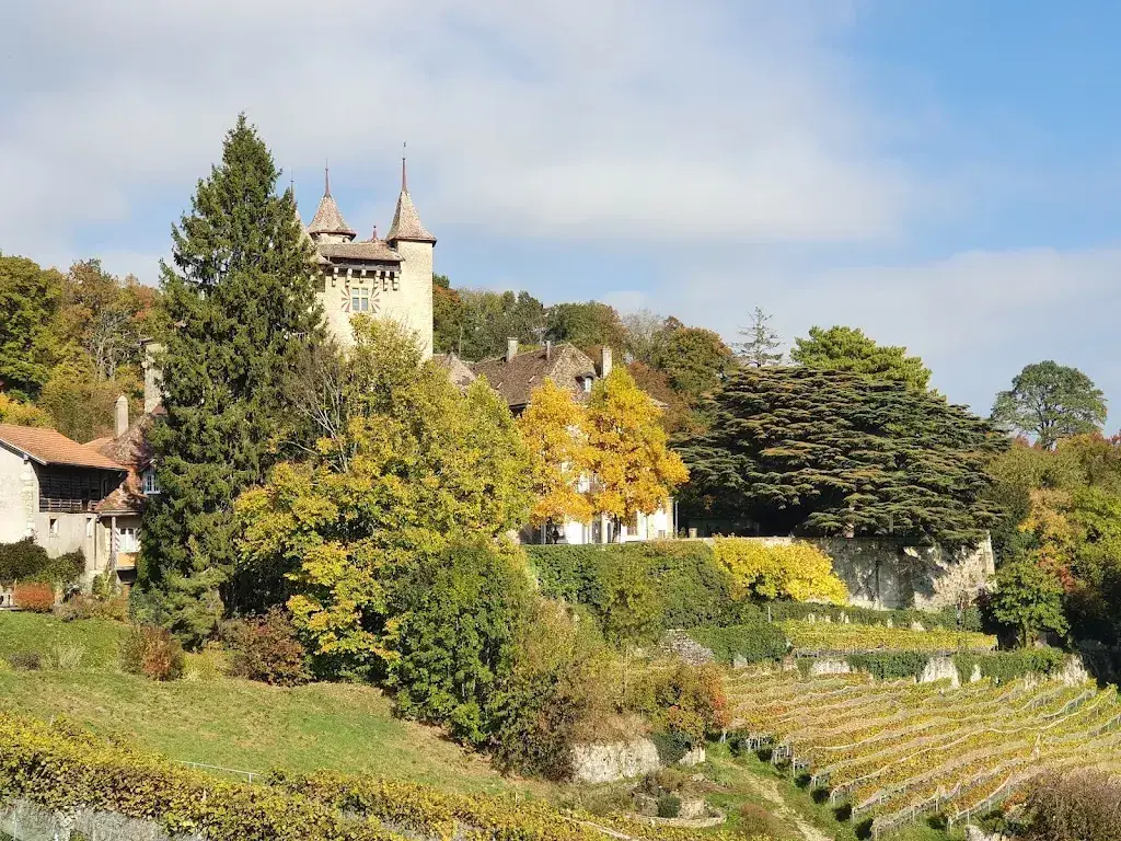 beat shona_Château de Vaumarcus_Vaumarcus_review