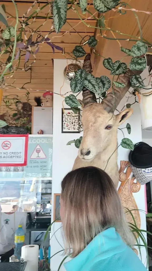 Elizaveta Gulyayanovskaya_Paral'Aile Café_Mauborget_review