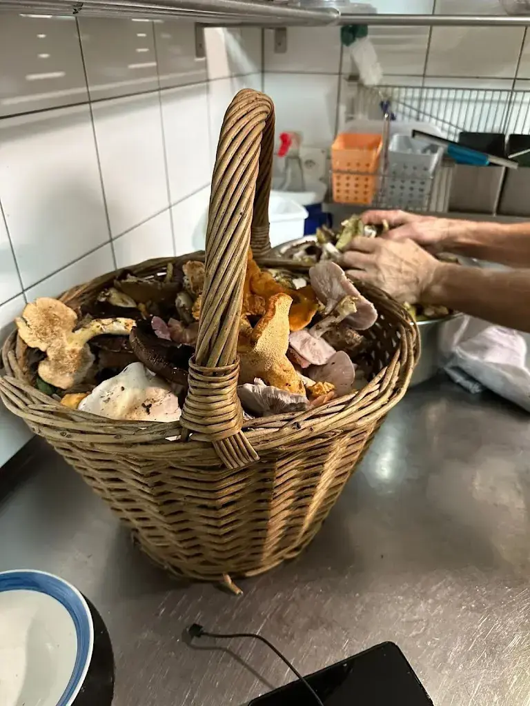 Marloes Otker_Paral'Aile Café_Mauborget_review