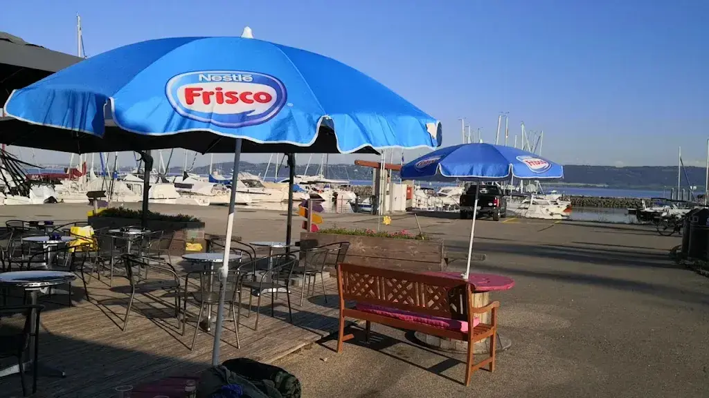 Chamsou Merouani_Tiki Shop_Concise_review