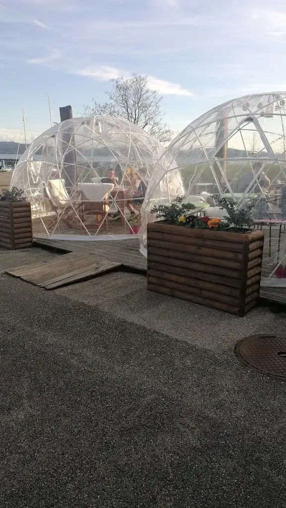 Anne lise Cailleau_Tiki Shop_Concise_review