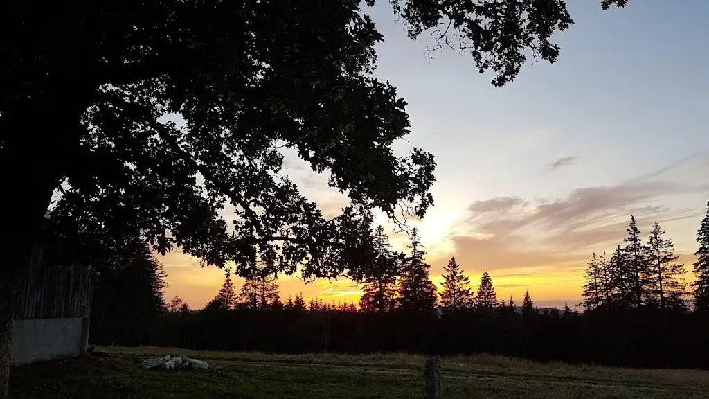 Patricia Muriset_Métairie Les Petites Fauconnières_Provence_reseña