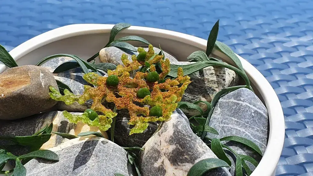 Menu_Pic au Beau-Rivage Palace_Lausanne_immagine_8