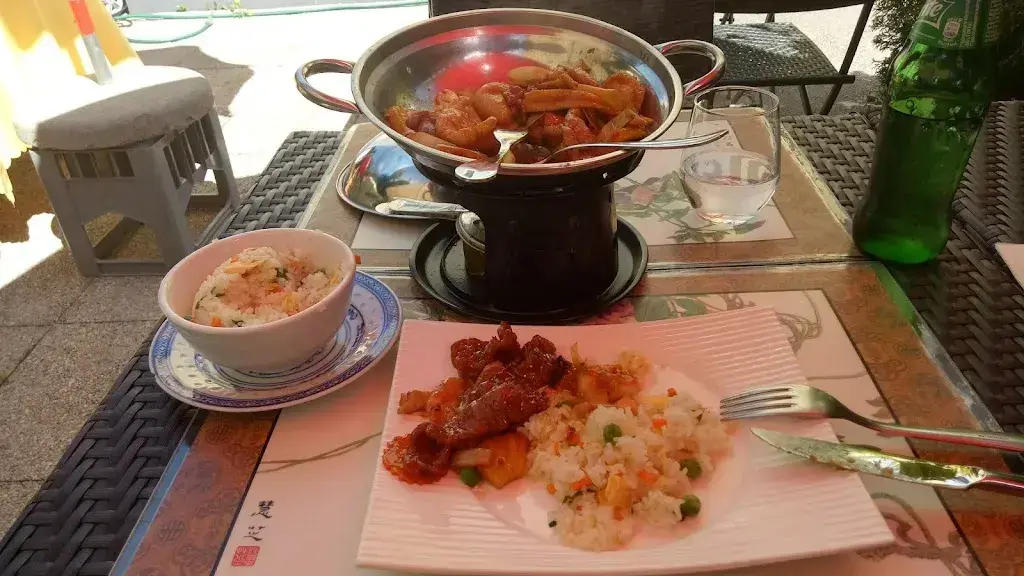 Menu_XIN YUAN_Le Mont-sur-Lausanne_image_5