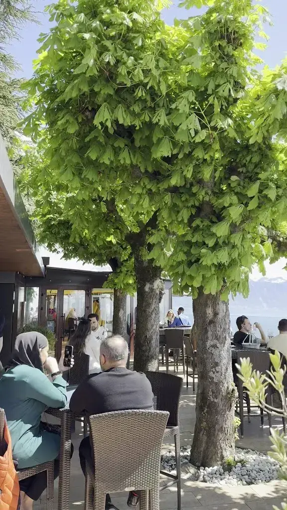 Merryheart_Le Deck Bar Terrasse_Chexbres_review