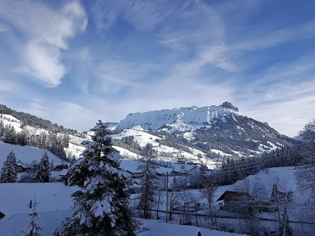 RSOI HA_Gasthof Rosegg_Schangnau_avis