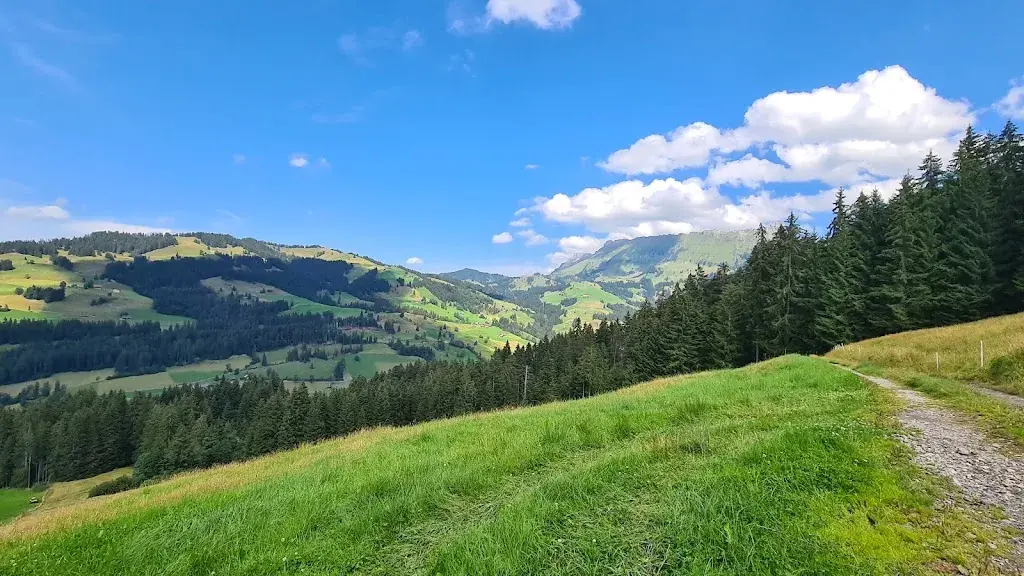 Ekaterina Guldimann_Gasthof Rosegg_Schangnau_avis