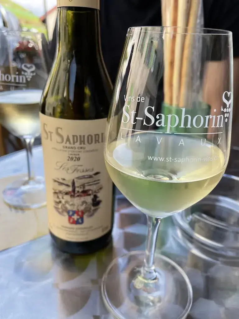 Philippe Klöti_Espace de la papille_Saint-Saphorin_review