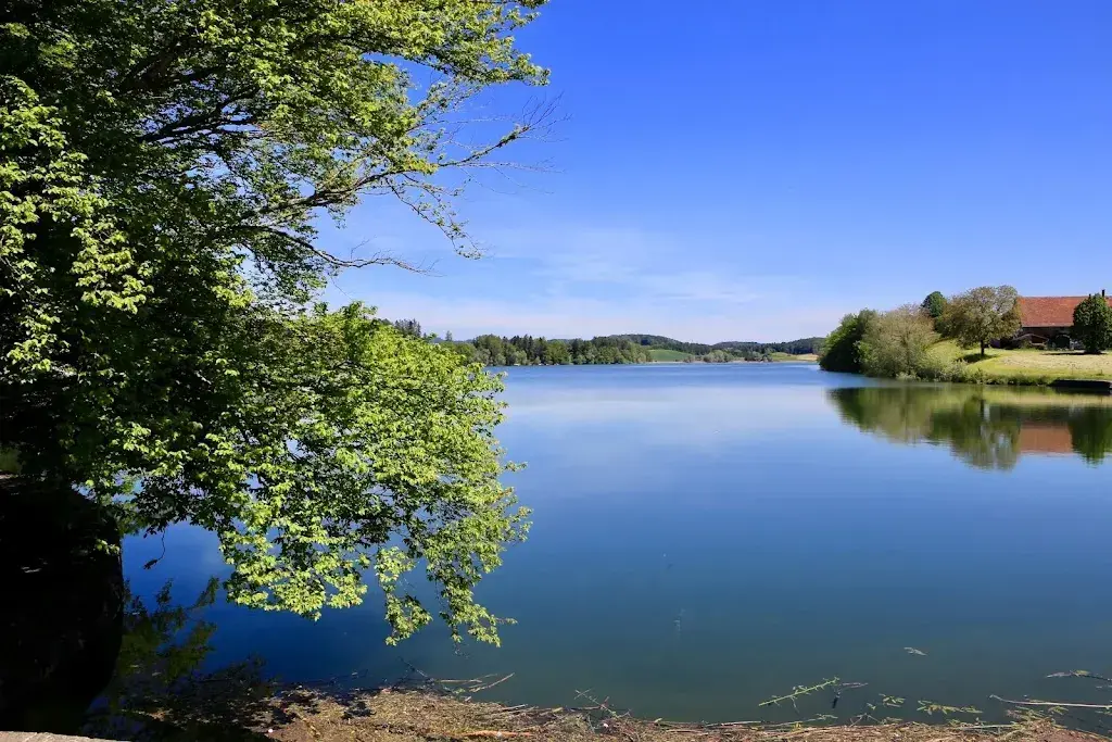 Richard GAO_Restaurant du Lac de Bret_Puidoux_review