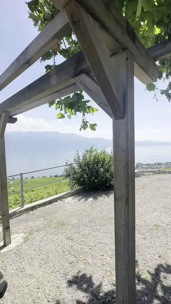 Lina Ivanovska_Picnic table Riex_Riex_review