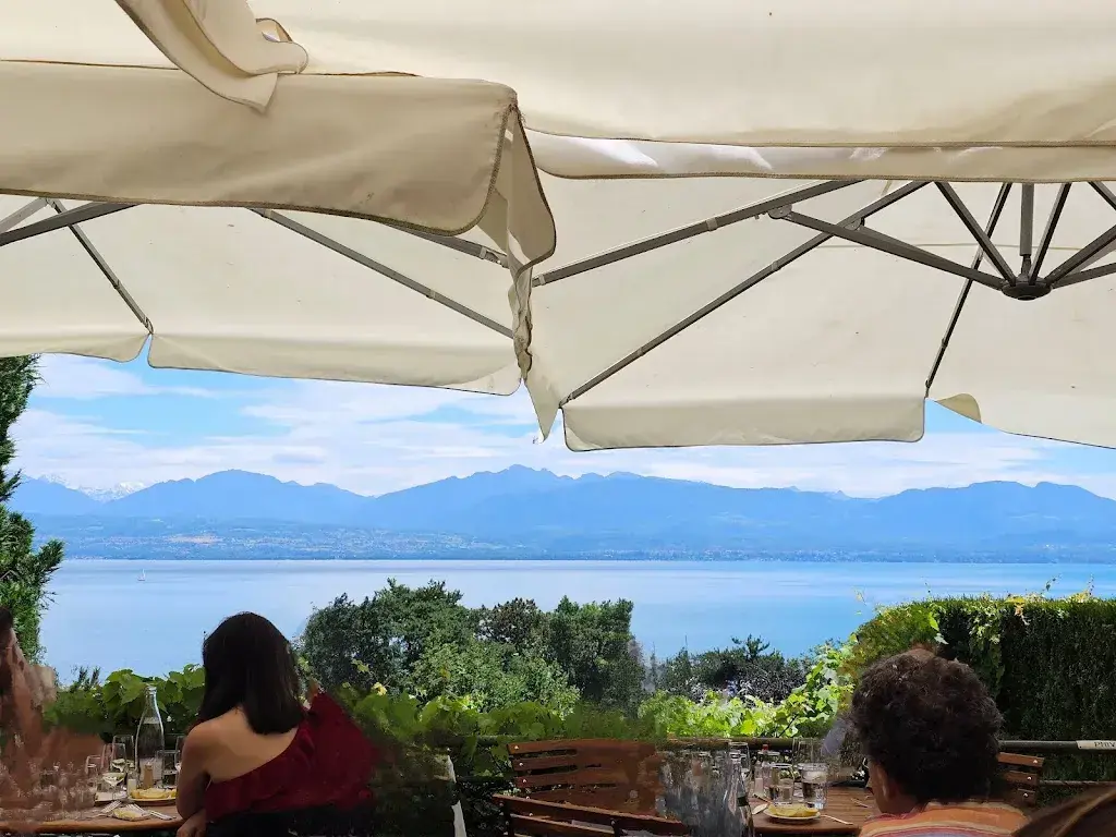 Diamantis Pithis_Au Vieux Navire_Buchillon_review