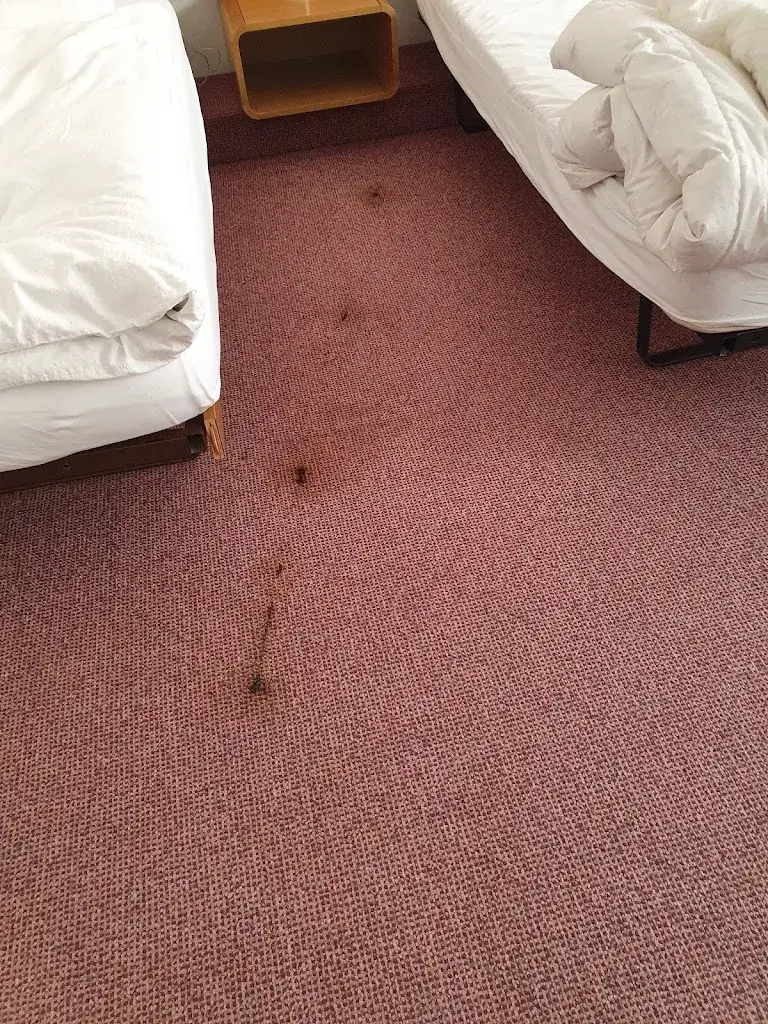 Jc .van Dienst_Pont de la Venoge_Echandens_review