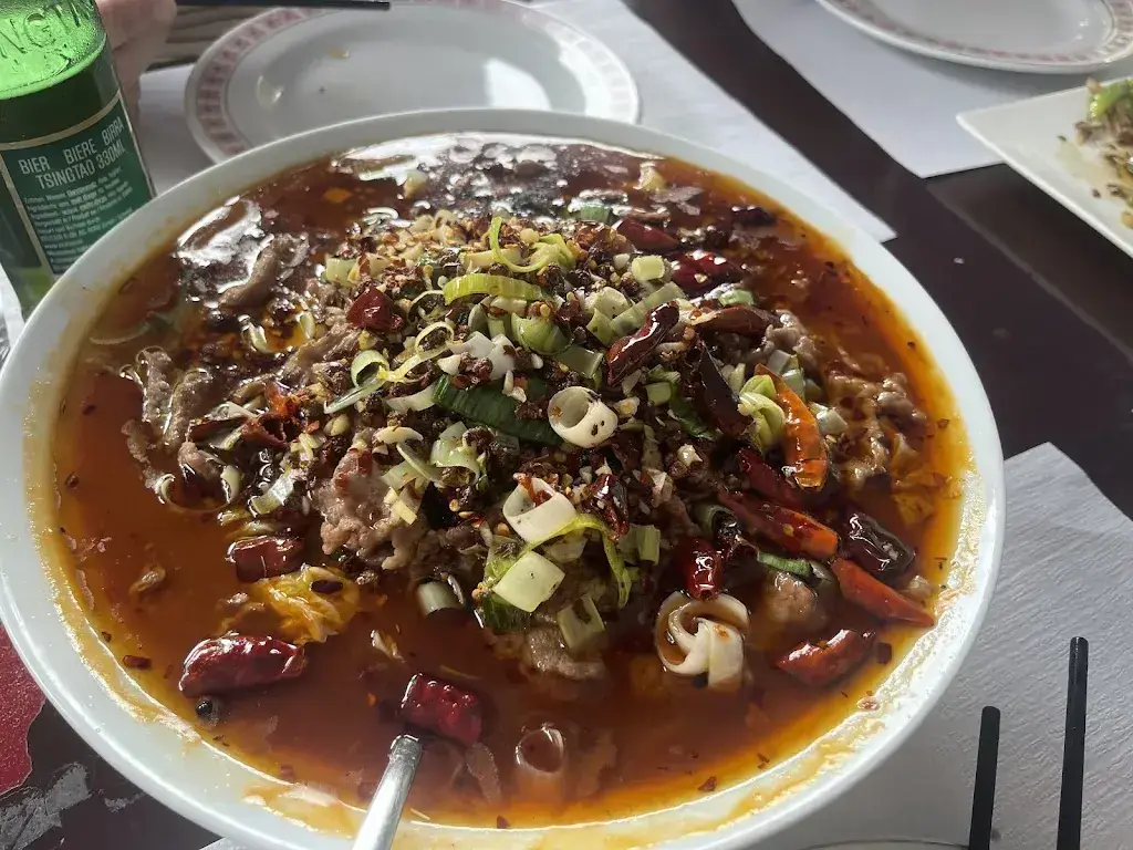 Jenny Li_Restaurant Henan 河南人家_Renens_review