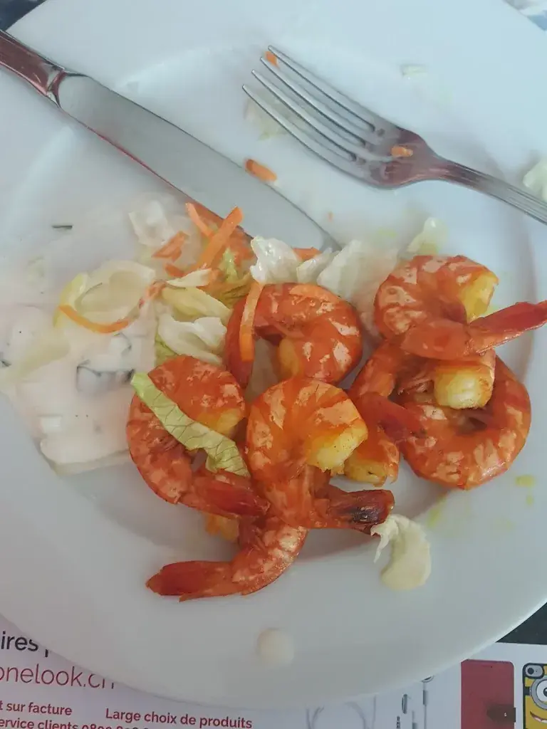 Atiq BUTT_Kashmir_Renens_review