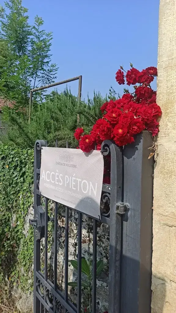 Olha Faryma_Château de Vullierens -Jardins des Iris_Vullierens_review