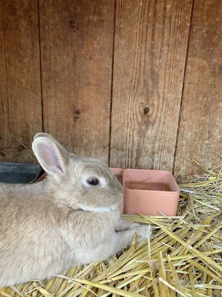 Wai_La Ferme Aux Cretegny_Bussy-Chardonney_review