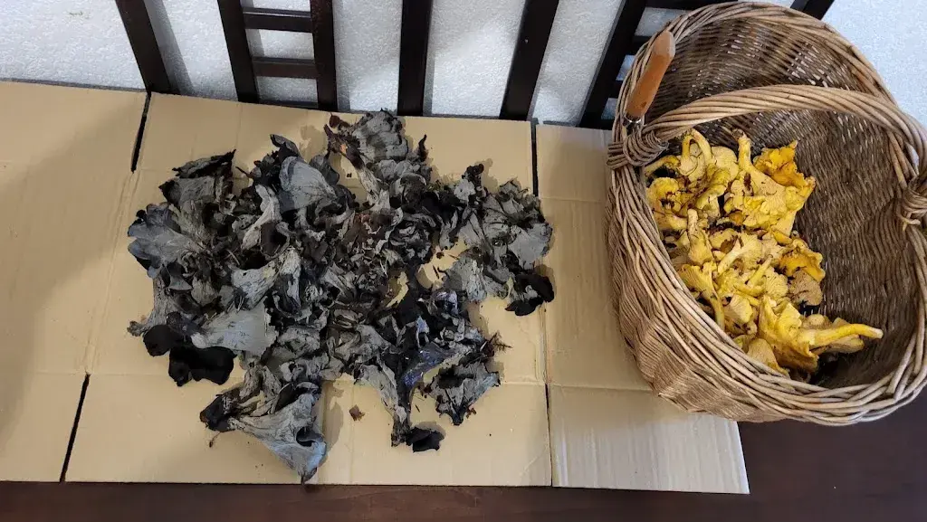 Menu_Restaurant Le Sarrazin_Lossy-Formangueires_image_6