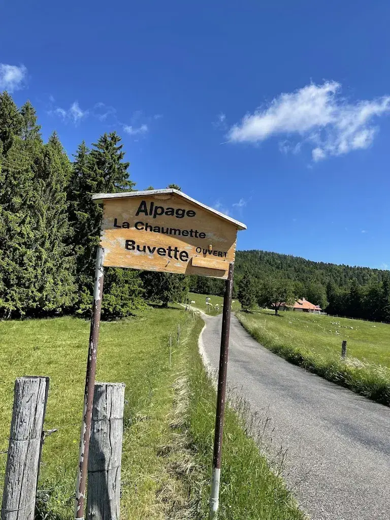 Thierry Faro_Buvette La Chaumette_Bassins_review