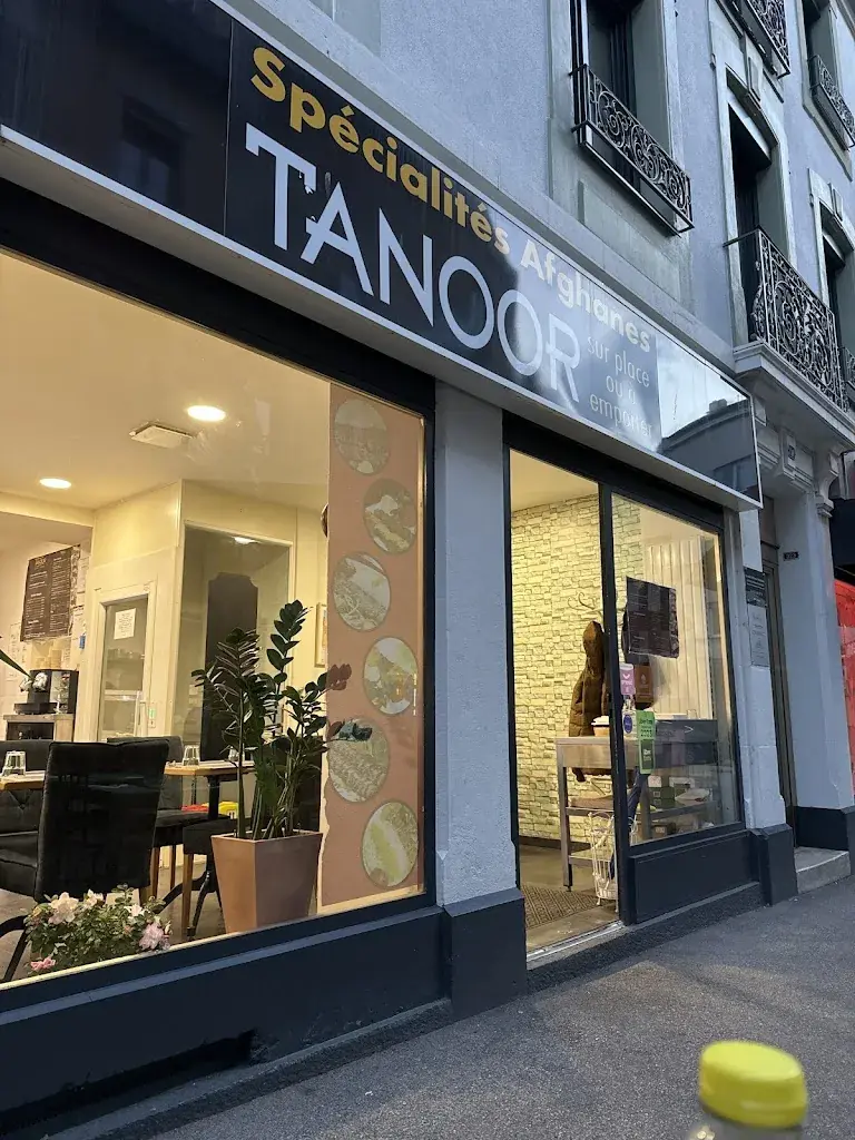 fayzan syed_Tanoor Restaurant_Nyon_review